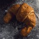 croissant-morela